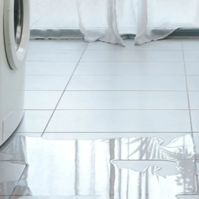Appliance Leak Cleanup in Mercer County, IL