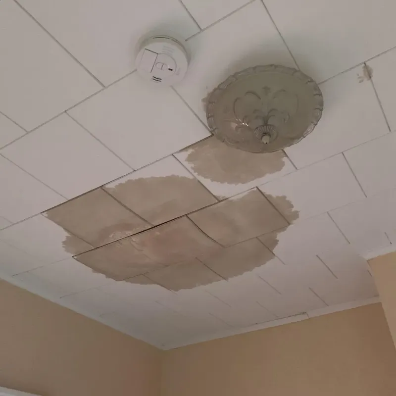 Ceiling Water Damage Repair in Mercer County, IL