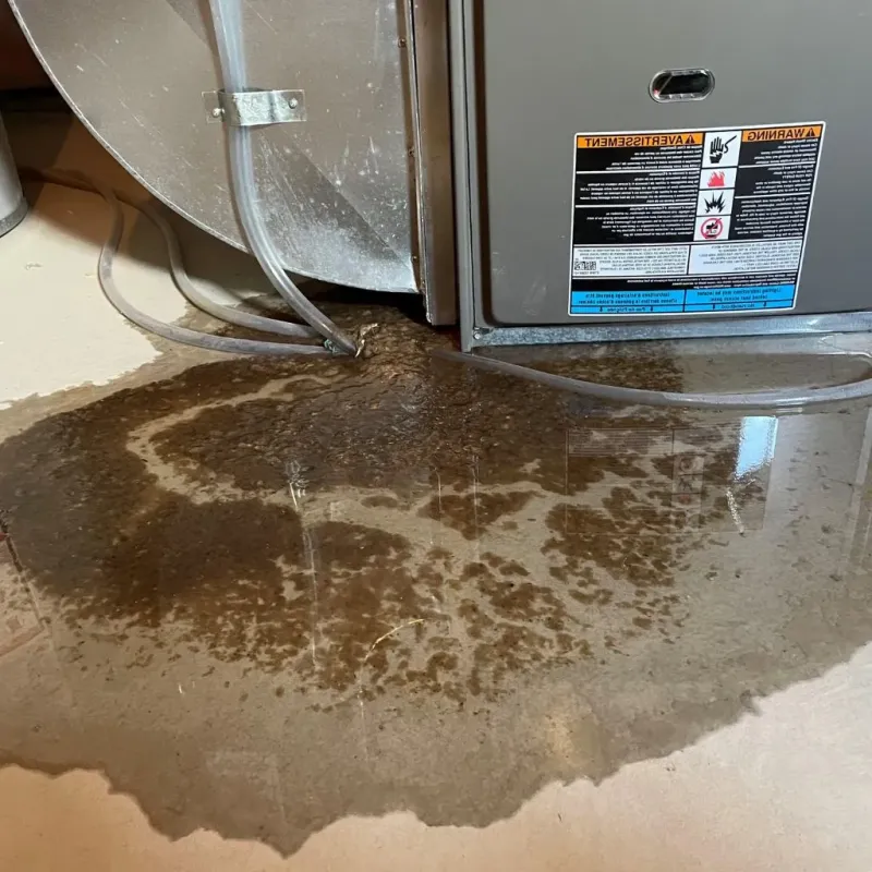 Pipe Burst and Leak Restoration in Mercer County, IL
