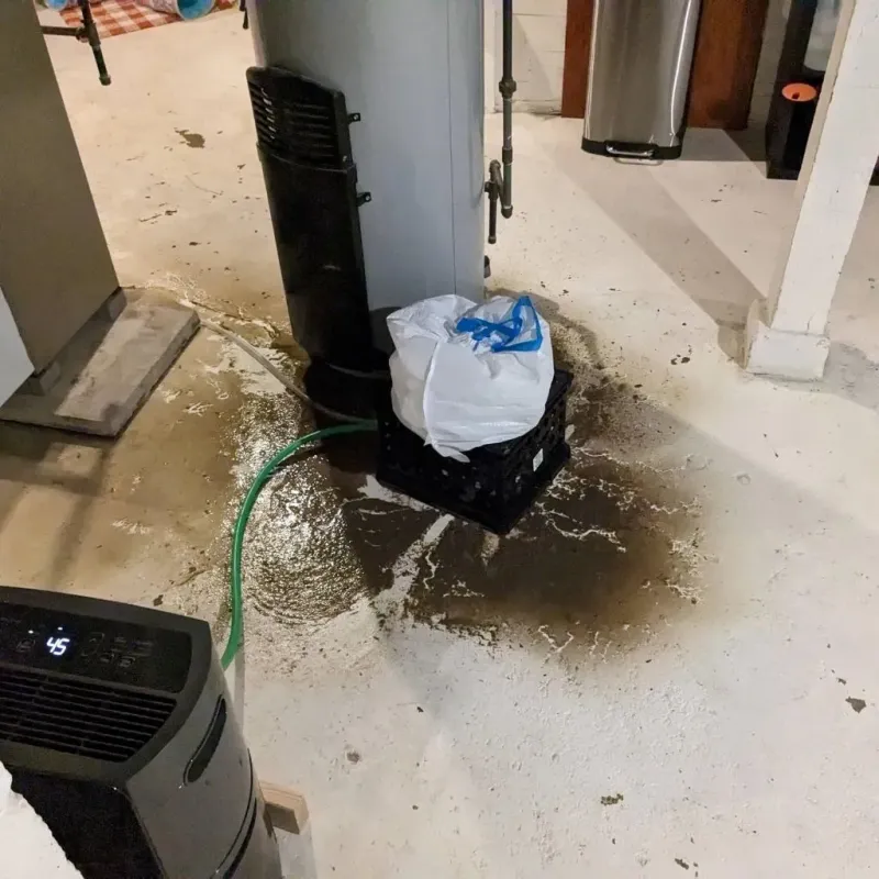 Sewage Backup Cleanup Service in Mercer County, IL